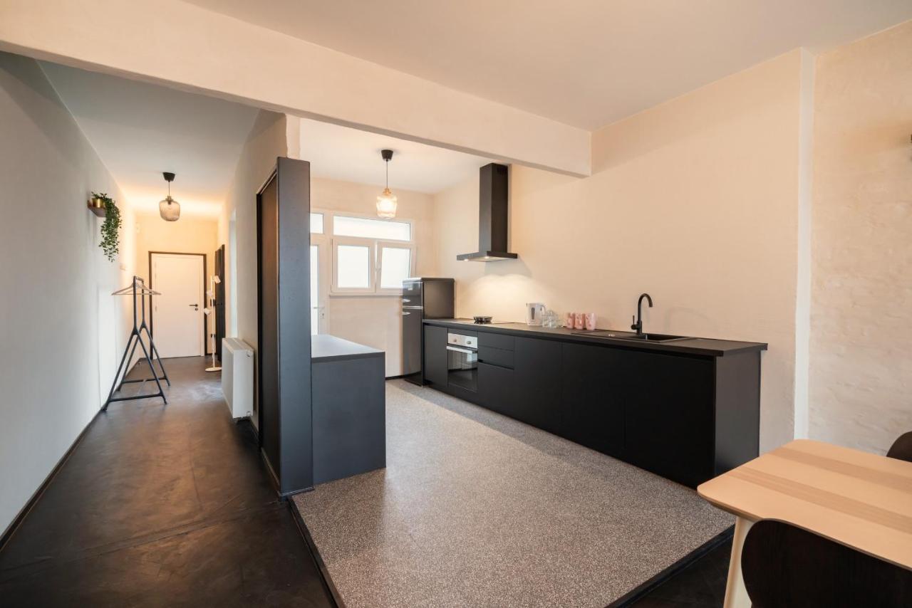 Charming And Spacious Antwerp City Center Apartments Kültér fotó