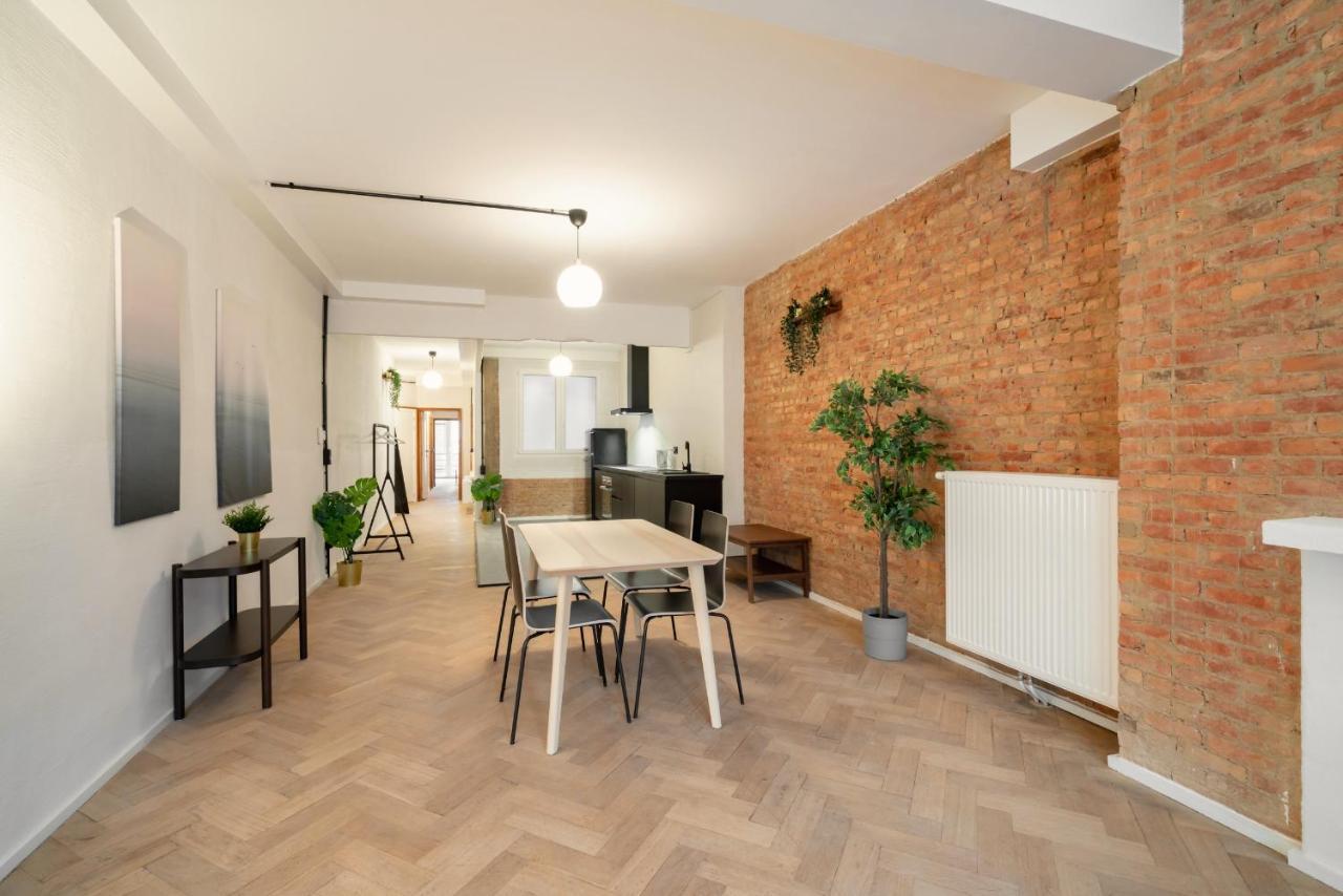 Charming And Spacious Antwerp City Center Apartments Kültér fotó
