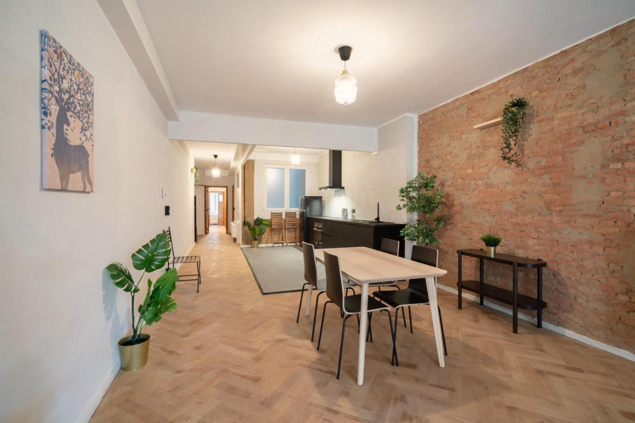 Charming And Spacious Antwerp City Center Apartments Kültér fotó
